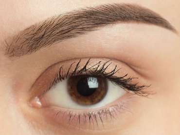 What is Eyebrow Hair Transplant