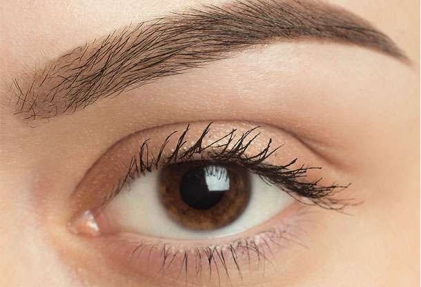 What is Eyebrow Hair Transplant
