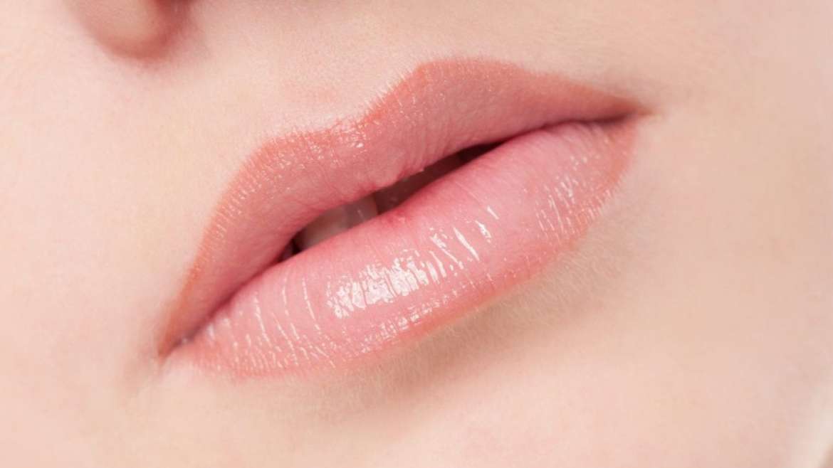 Venus Lip